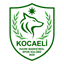 Kocaeli Kadin Basketbol