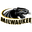 Milwaukee Panthers
