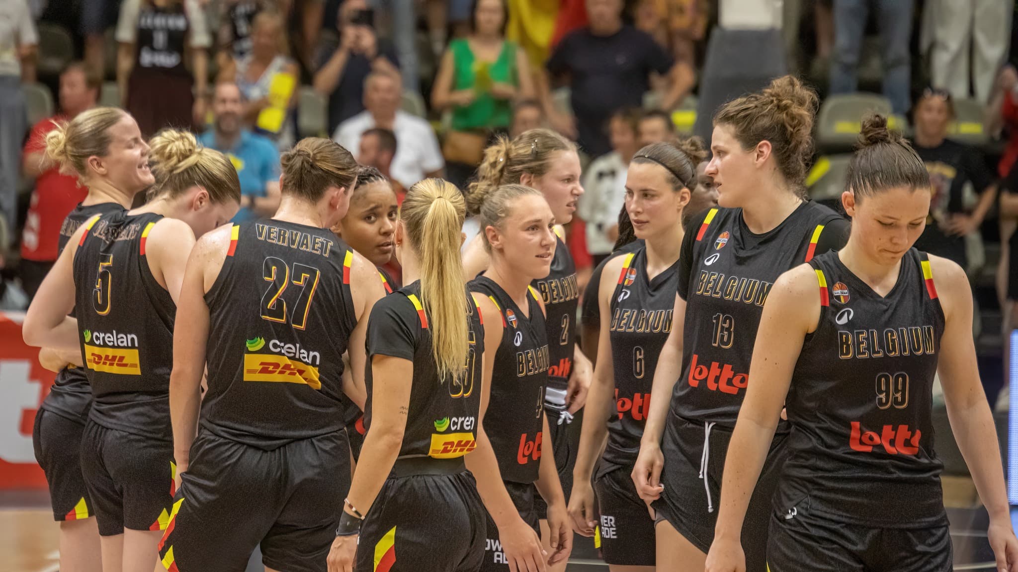 Les douze Cats sélectionnées pour le championnat d’Europe sont connues