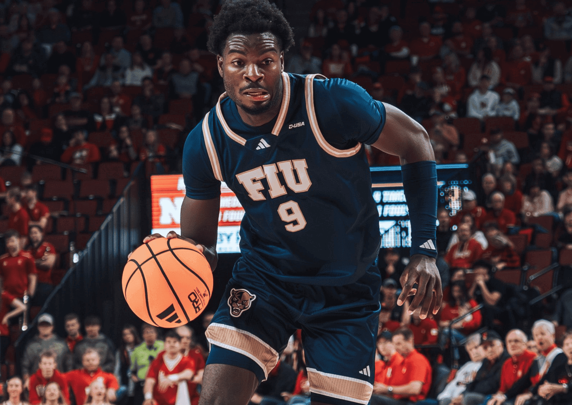 Semaine contrastée pour les Belges en NCAA