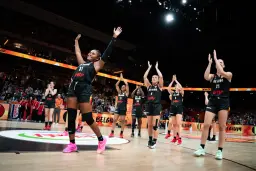Bousculées par Porto Rico, les Belgian Cats n’ont pas pu faire tourner leur effectif