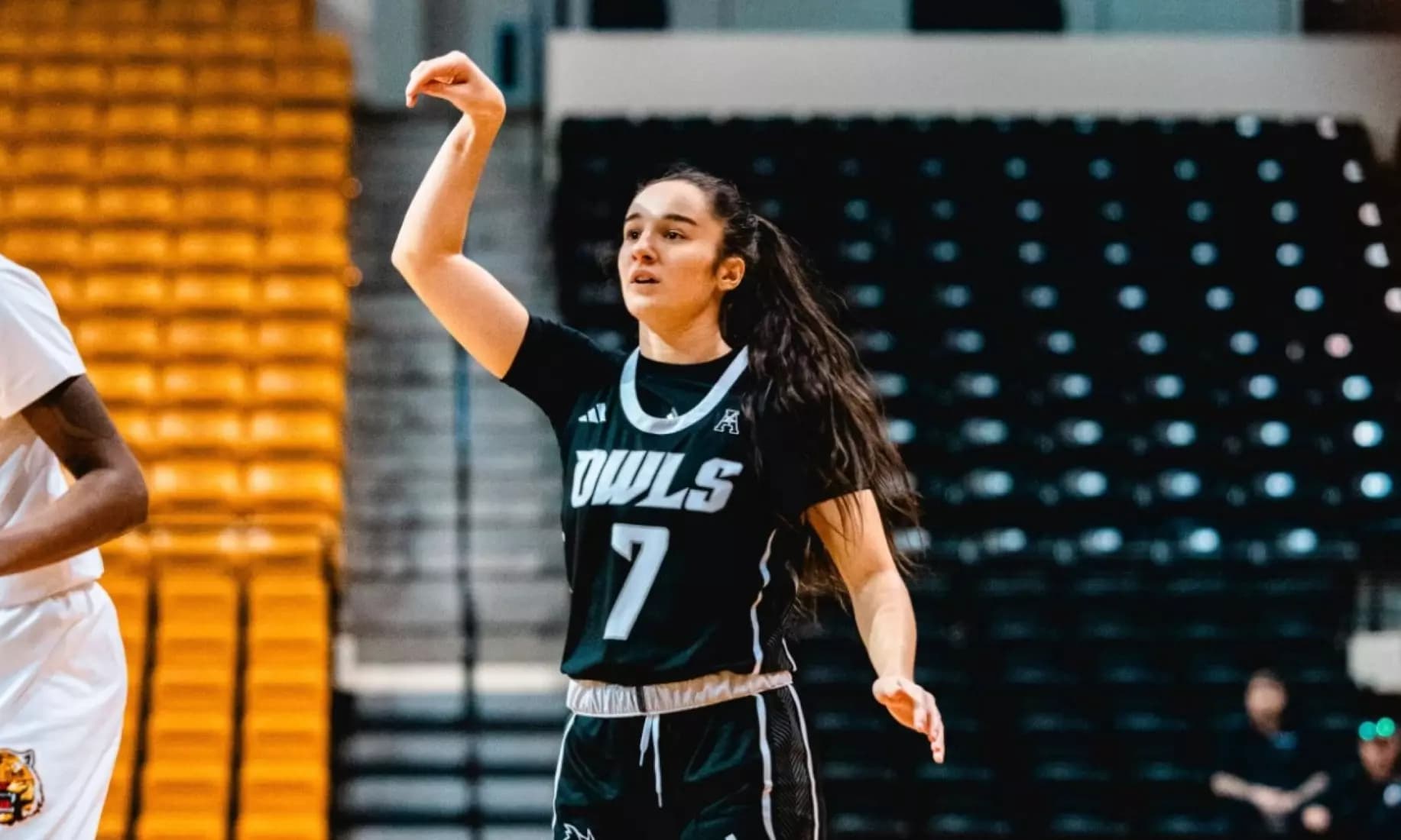 Belges en NCAA : Claessens et Battiston en vedette, Van Buggenhout monte en puissance