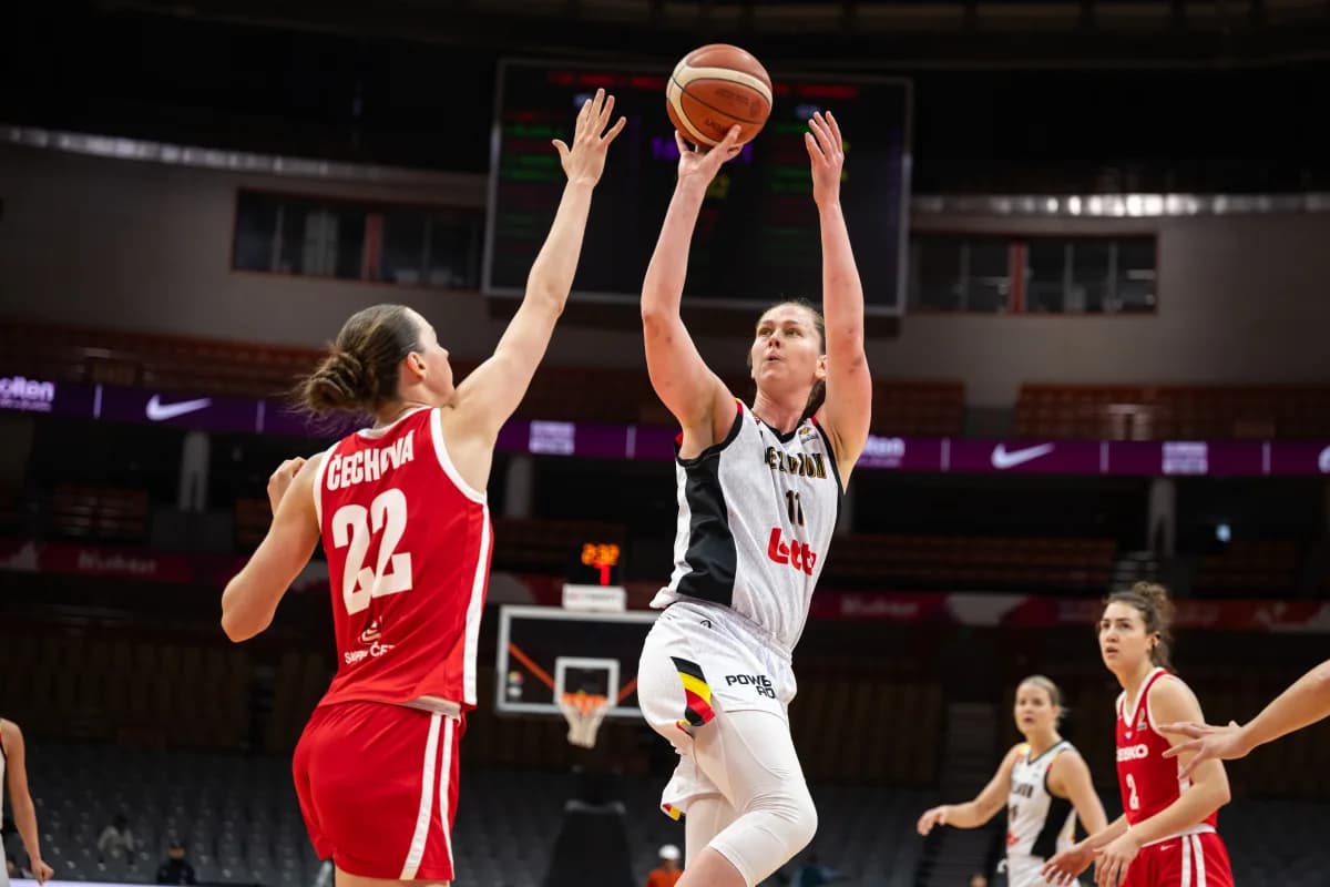 Implacables, les Belgian Cats écrasent la République tchèque et signent un tournoi parfait