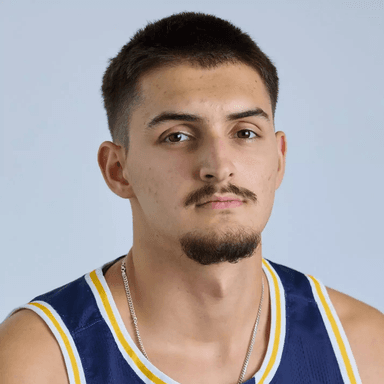 Dimitrije VUKICEVIC