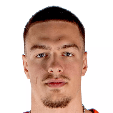 Grgur BRCIC