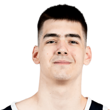 Nikola DZEPINA