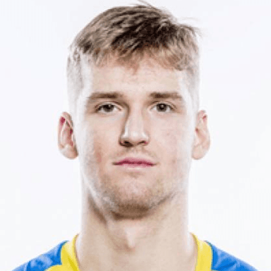 Davids VIKSNE