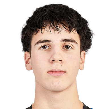 Radu-Ioan DUSAN