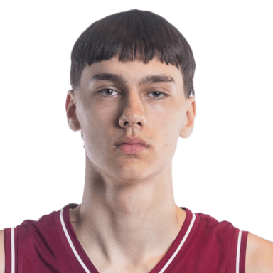 Verners DRAVA