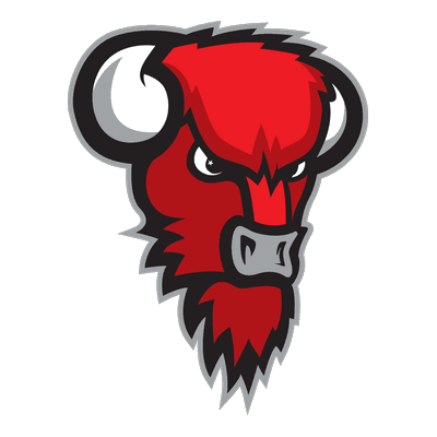 Bisons Loimaa